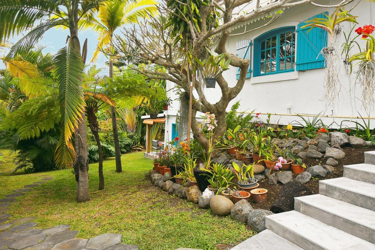 Le Jacaranda Du Guillaume Bed & Breakfast Le Guillaume ภายนอก รูปภาพ